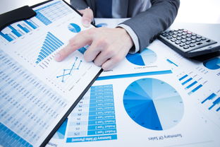 洞察市場(chǎng)，鏈接貿(mào)易 國(guó)內(nèi)知名市場(chǎng)調(diào)研與貿(mào)易代理服務(wù)機(jī)構(gòu)概覽