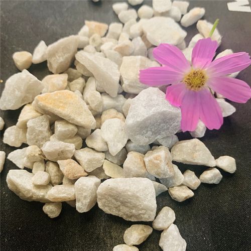 多年來與科研單位合作,不斷產品結構,為拓展市場,由原來單 一的濾料銷