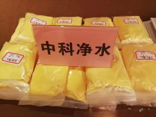 我們公司生產(chǎn)的聚合氯化鋁 凈水劑 的混凝原理